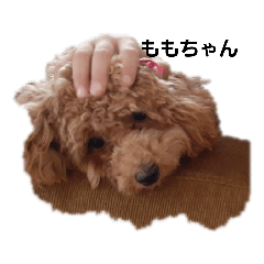 ぴーすとももちゃん