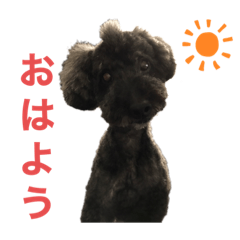 ラッキー・スタンプ　小島家の愛犬