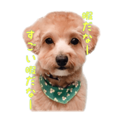 我が家の表情豊かな主スタンプ