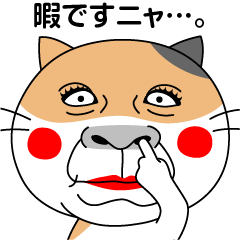 ネコ・敬語・ネコ！