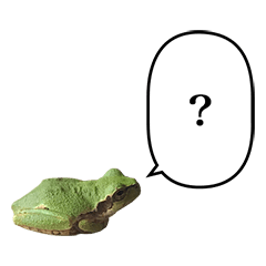アマガエル　と　ふきだし