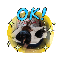 ワンちゃんSTAMP!