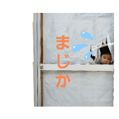 パンダ製作所　2020夏コロナだけど元気です