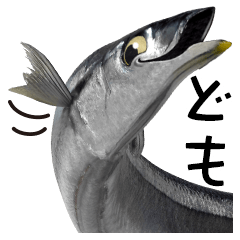 サンマの気持ち