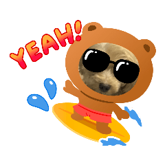 GRAPE_20201104110146