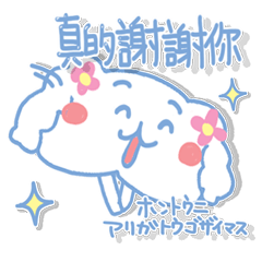 台湾。可愛い犬。