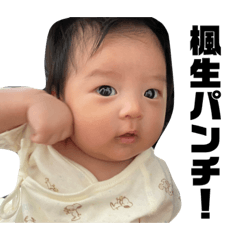 楓生くんスタンプ