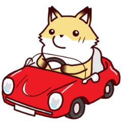 都会育ちのきつねさん