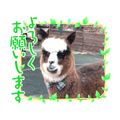 かわいいアルパカさんスタンプ③