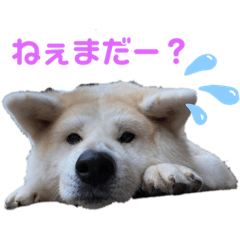 愉快な奴ら‼︎