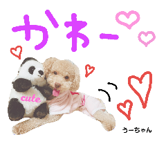 褒め上手うーちゃん