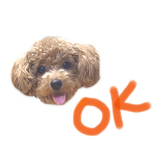 りゅう&ジェシー