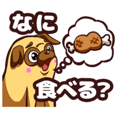 ムチムチパグのおもちちゃん