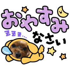 ひじひじ　ドッグ1