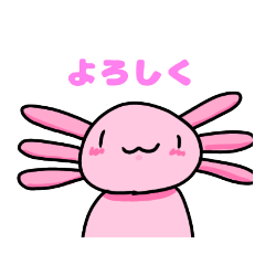 ウーパールーパーだぁよ！