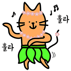 いつも明るい猫