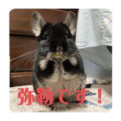 弥勒スタンプ①