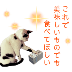 スクウの巣喰うスタンプ4（課金編）