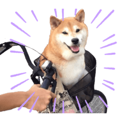 千春さんスタンプ。