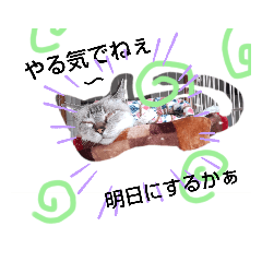 ニャぉンの日常