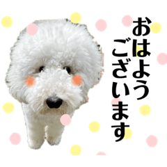 スタンプーこむぎさんの一言