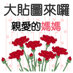 母のために˙暖かい挨拶（大局）