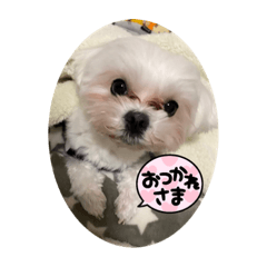 チロルとゆかいな仲間たち