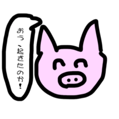 ぶたぁ(辛口適当)
