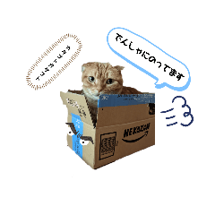 きなこ,にぼし,モカのスタンプ