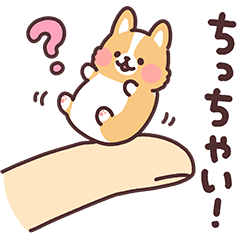 まるまるコーギー25 ちっちゃい!