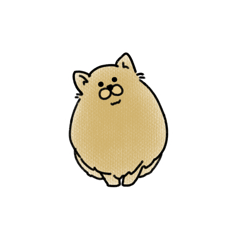 ゆるゆるなポメラニアン