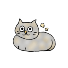 マンチカンの昆布