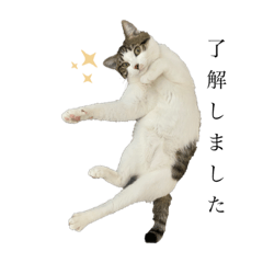 ツナくんスタンプ第二弾