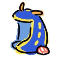 陸に上がったウミウシ