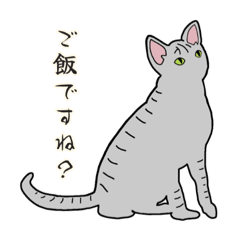 【nekonote.】ゆるーい日常ねこスタンプ