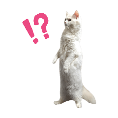 あんちゃんスタンプ_日常