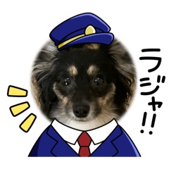 世界一可愛い子犬ちゃん！