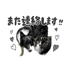 はなかとこなつ