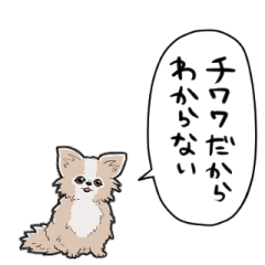 しゃべるチワワちゃん