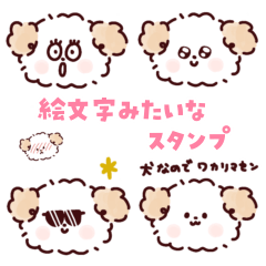 ぼく、シーズー。2