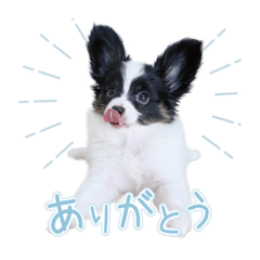 なぎ スタンプ 1