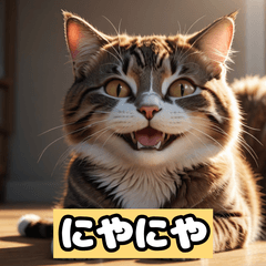 感情だだもれネコの日常