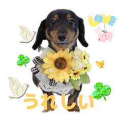 カノンスタンプ31