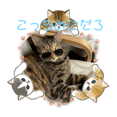 感情豊かなシスター達