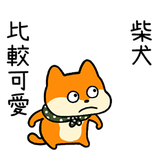 Shiba Inu "JIRO" Taiwan Version