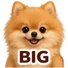 ポメラニアン★家族大好きひとこと BIG