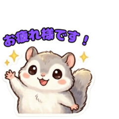 Cute fluffy  flying squirrel