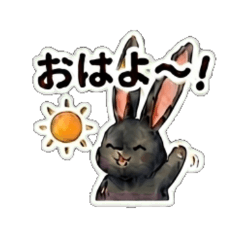 Usagi3 - Daily Chat Stickers