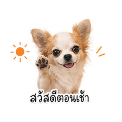 Akrabhaj bunnag aoaooh