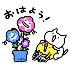 しょぼいねこの夏